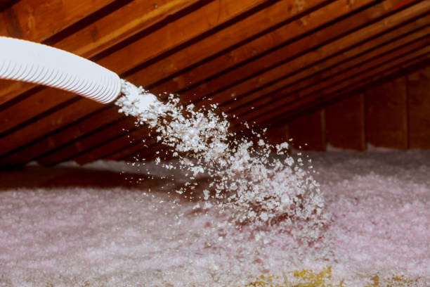 Best Types of Insulation in Lake Lifornia, CA