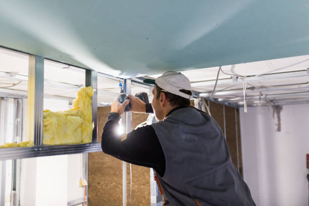 Best Commercial Insulation in Lake Lifornia, CA