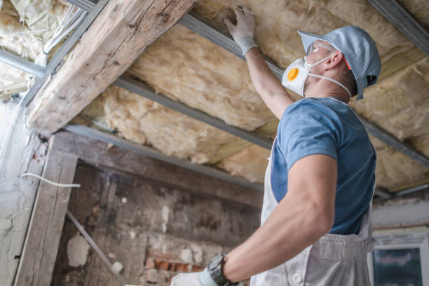 Best Insulation Materials and Products in Lake Lifornia, CA