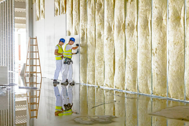 Best Insulation for Specific Applications in Lake Lifornia, CA